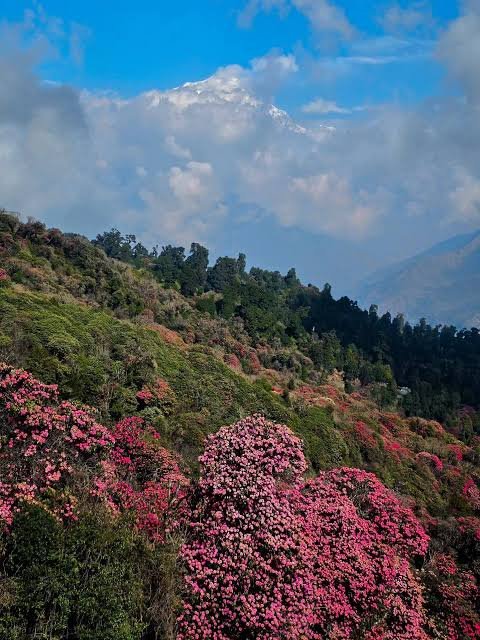 Annapurna Poon Hill Trek .jpeg